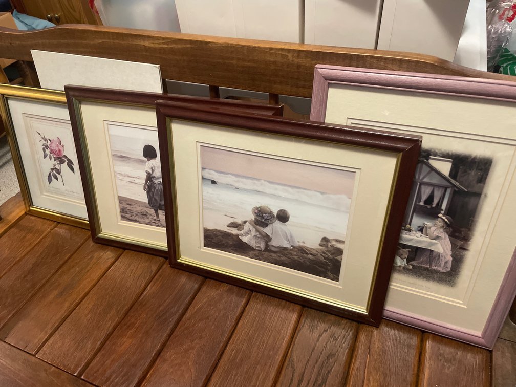 Framed Art Prints and Matted Botanical Print