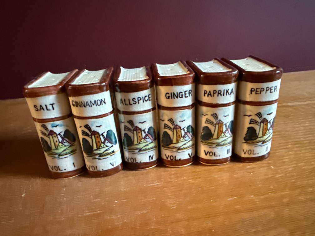 Ceramic Book-Shaped Spice Shakers