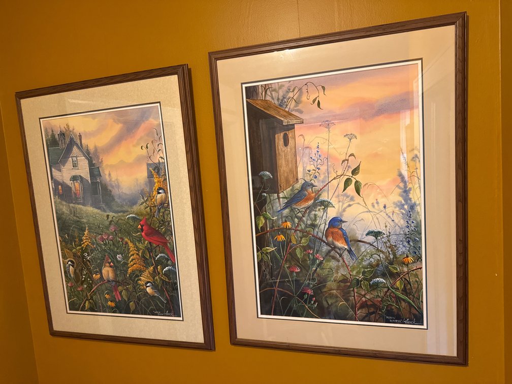 Franck Framed Bird and Landscape Art Prints