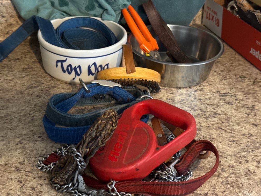 Pet Supplies