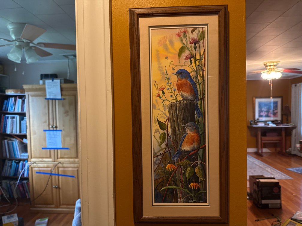 Framed Bluebird and Goldfinch Art Prints