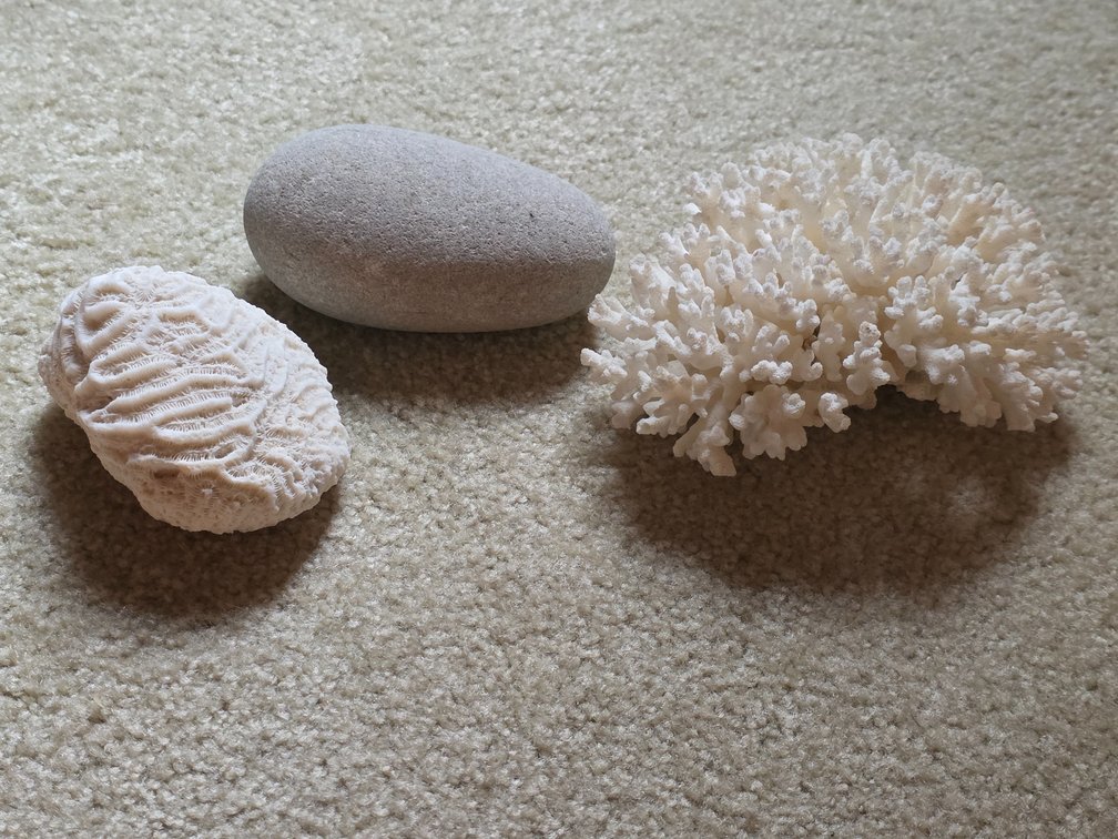 Natural Coral /Smooth River Stone