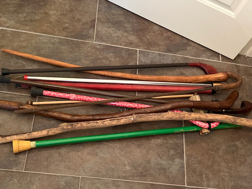 Walking Canes, Walking Sticks, and Poles