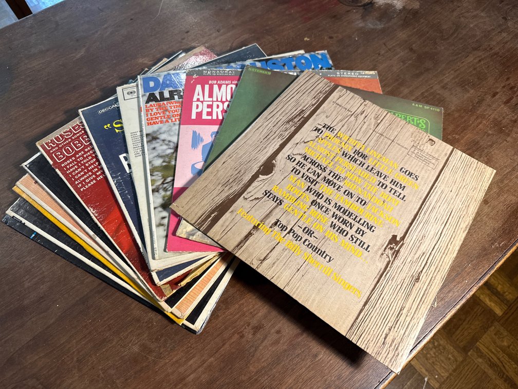 Collection of 12-Inch Vinyl LP Record Albums