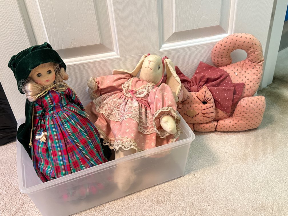 Doll, Stuffed Cloth Rabbit, and Fabric Cat