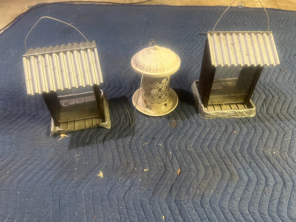 Bird Feeders, Bear Survivors