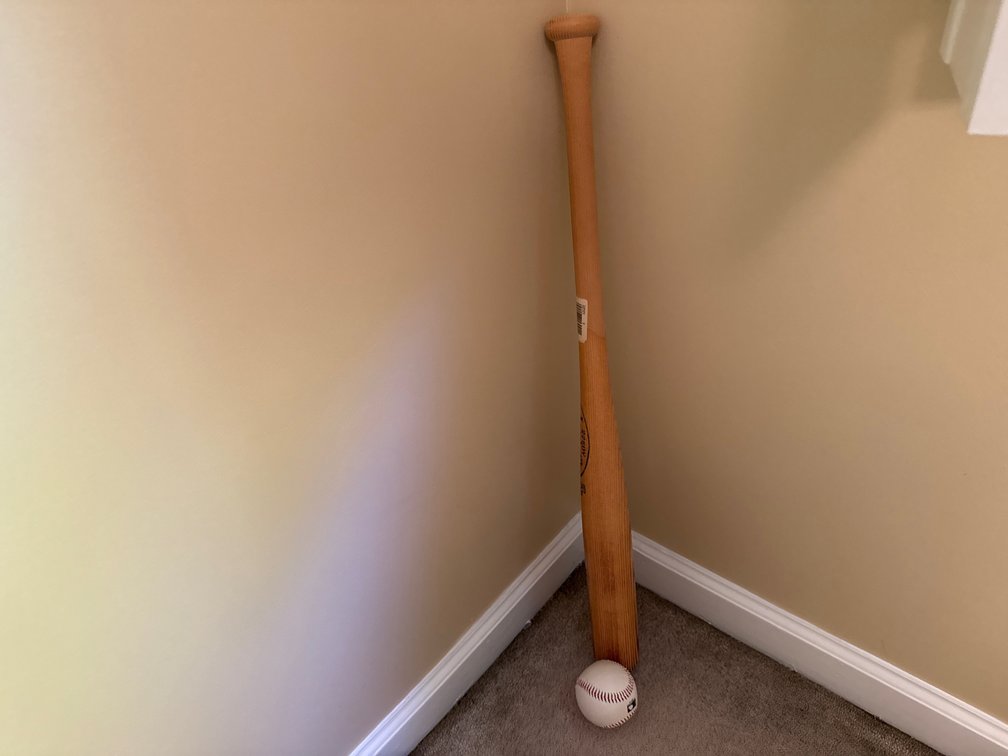 Flame-Tempered Wooden Baseball Bat and Baseball