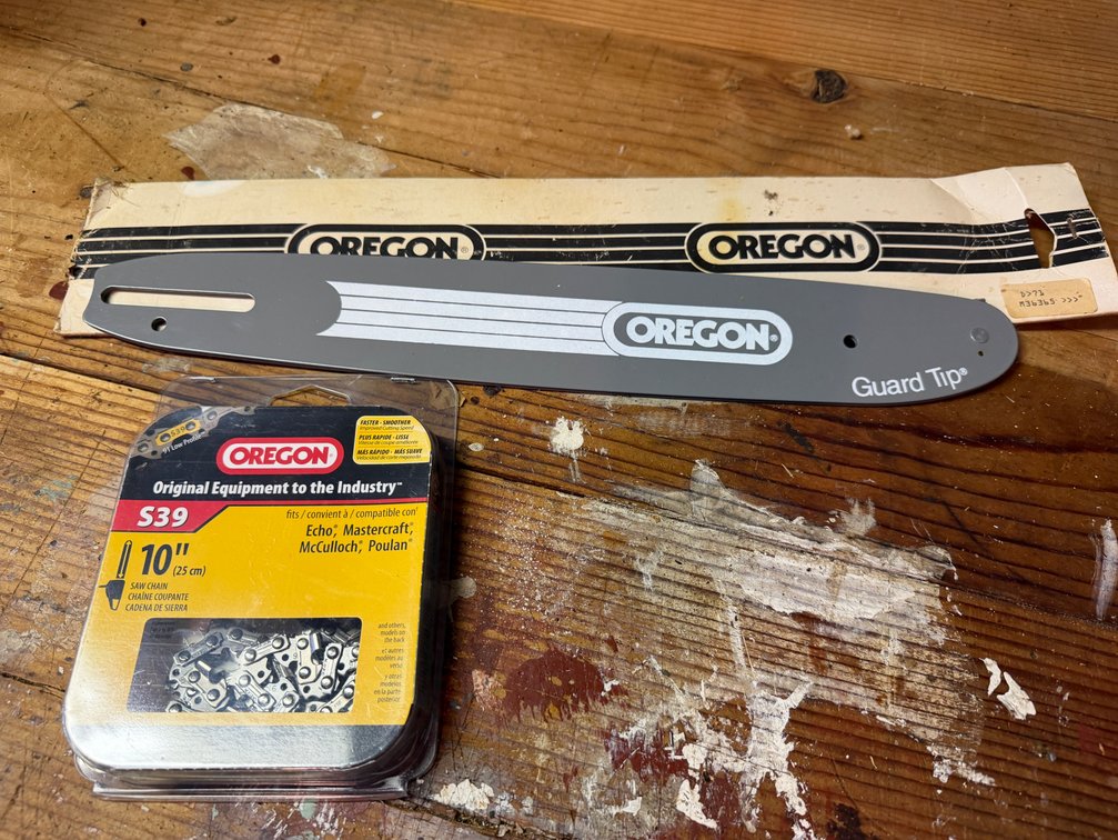 Oregon 10-Inch Chainsaw Guide Bar and S39 Saw Chain