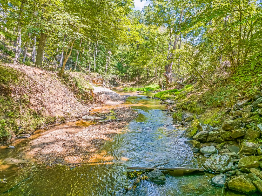 Mountian Views and Country Living in Pilot Mountain, NC