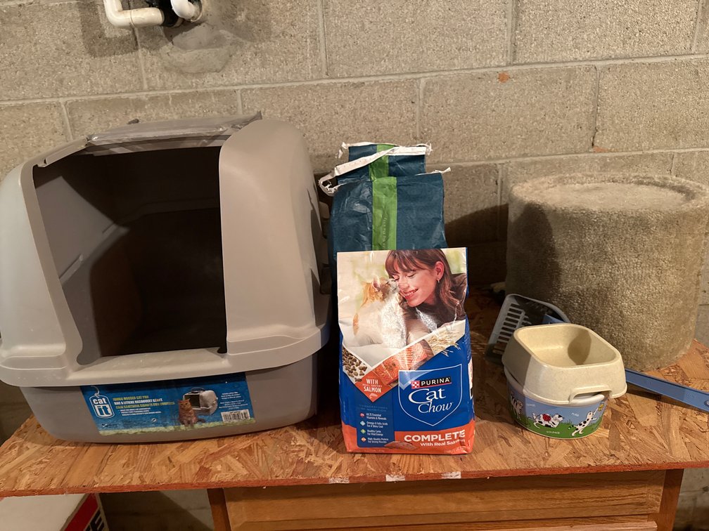 Hooded Cat Litter Pan, Carpeted Hideaway, and Cat Supplies