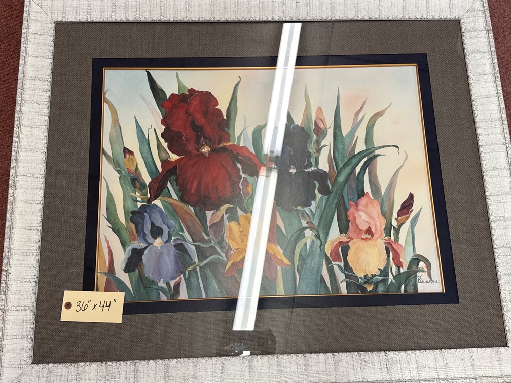 B. Sumrall Framed Numbered Iris Floral Print
