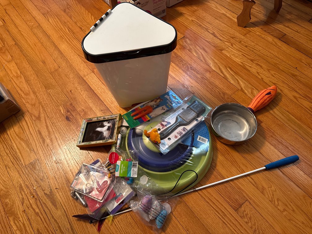 Cat Toys, Grooming Supplies, Pet Bowl, and More