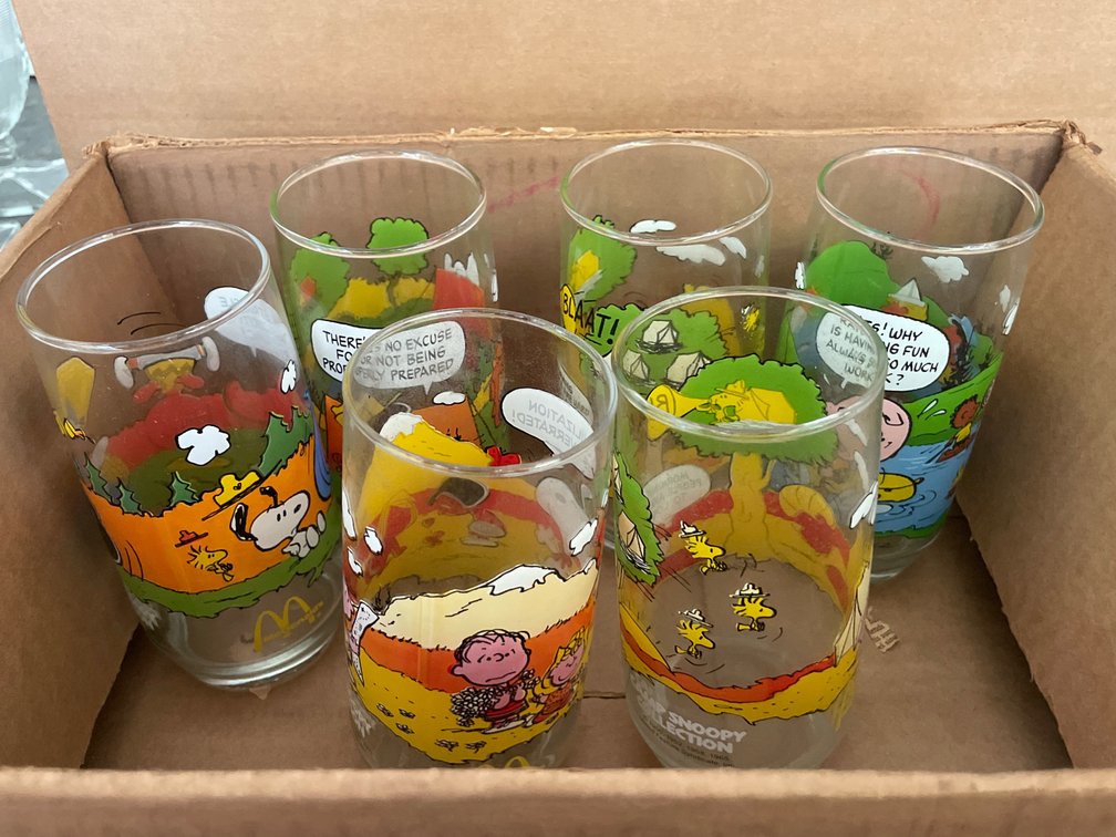 McDonald's Peanuts Camp Snoopy Collection Drinking Glasses