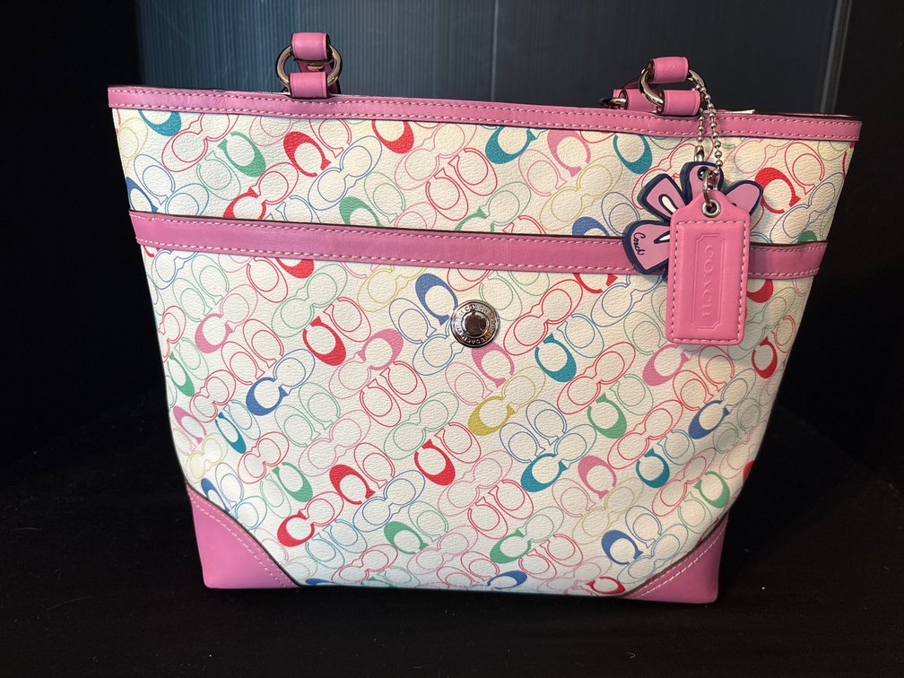 Vintage Coach F16874 Multicolor Signature Canvas Tote Bag