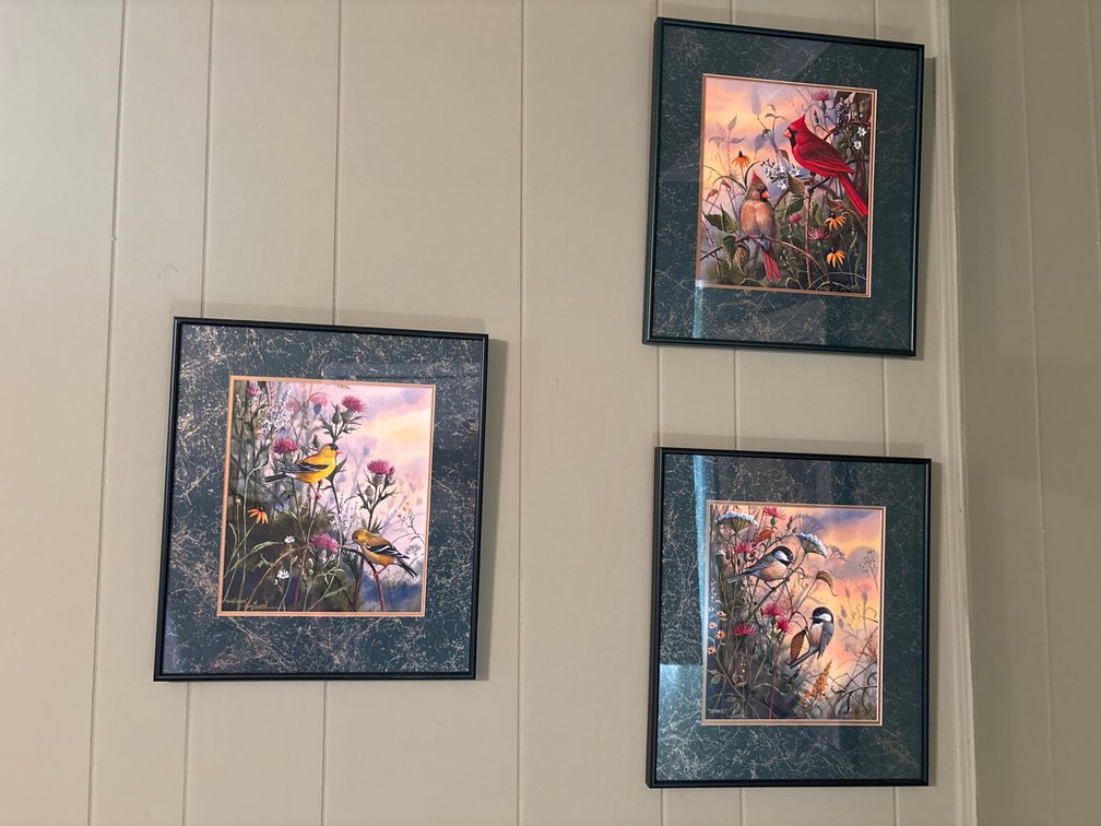 Set of Three Framed Songbird Art Prints