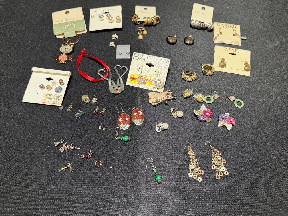 Fashion Earrings, Charms, and Costume Jewelry Lot