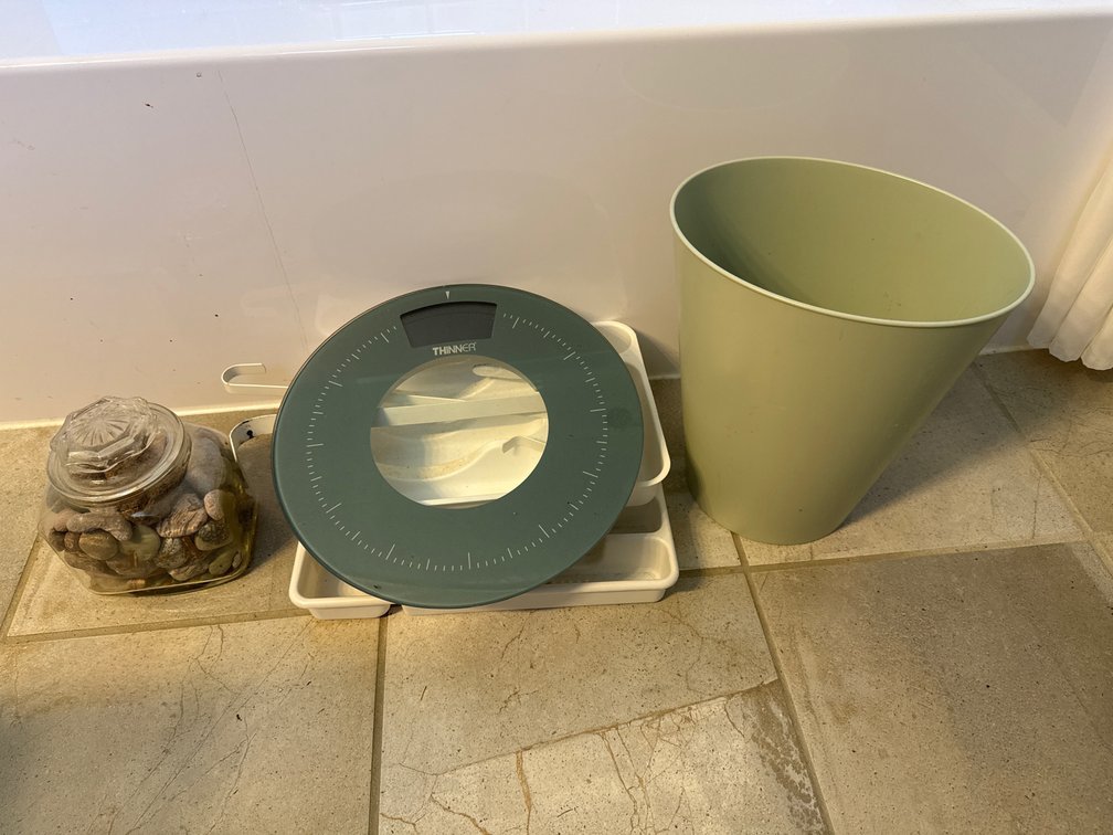 Digital Bathroom Scale, Walking Cane, and Home Accessories