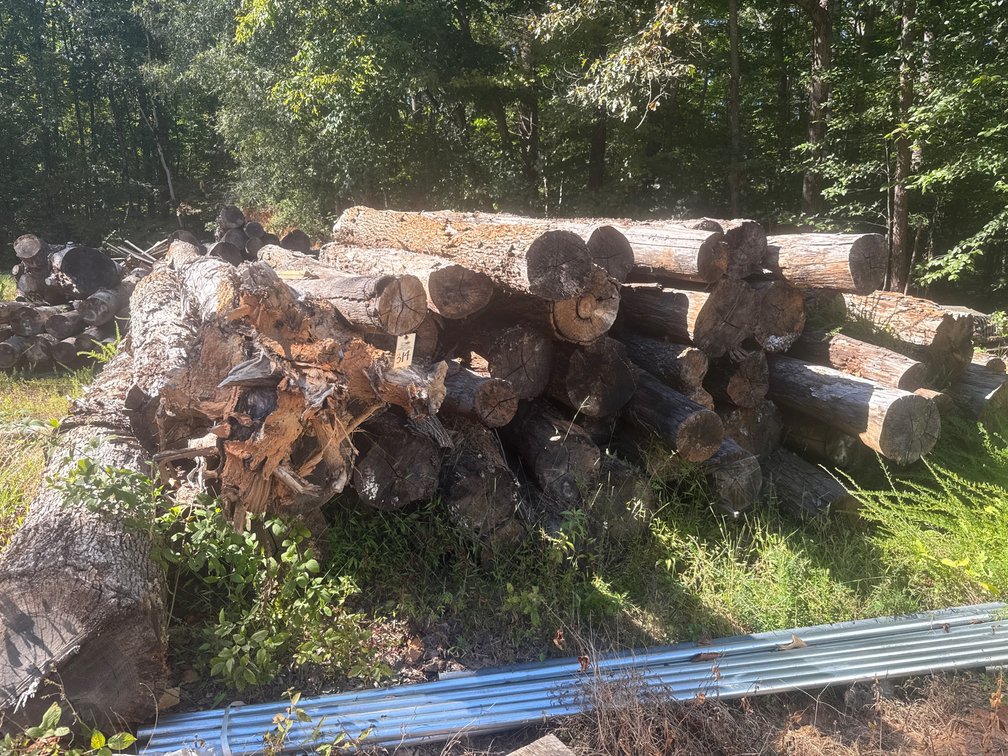 Assorted Logs