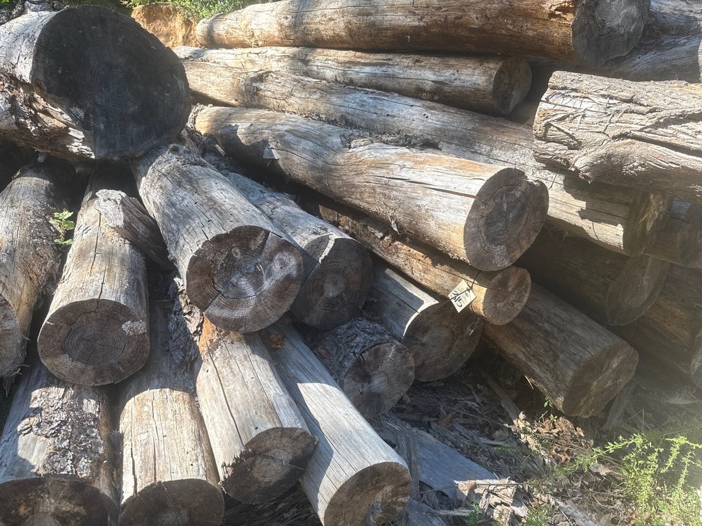 Assorted Logs