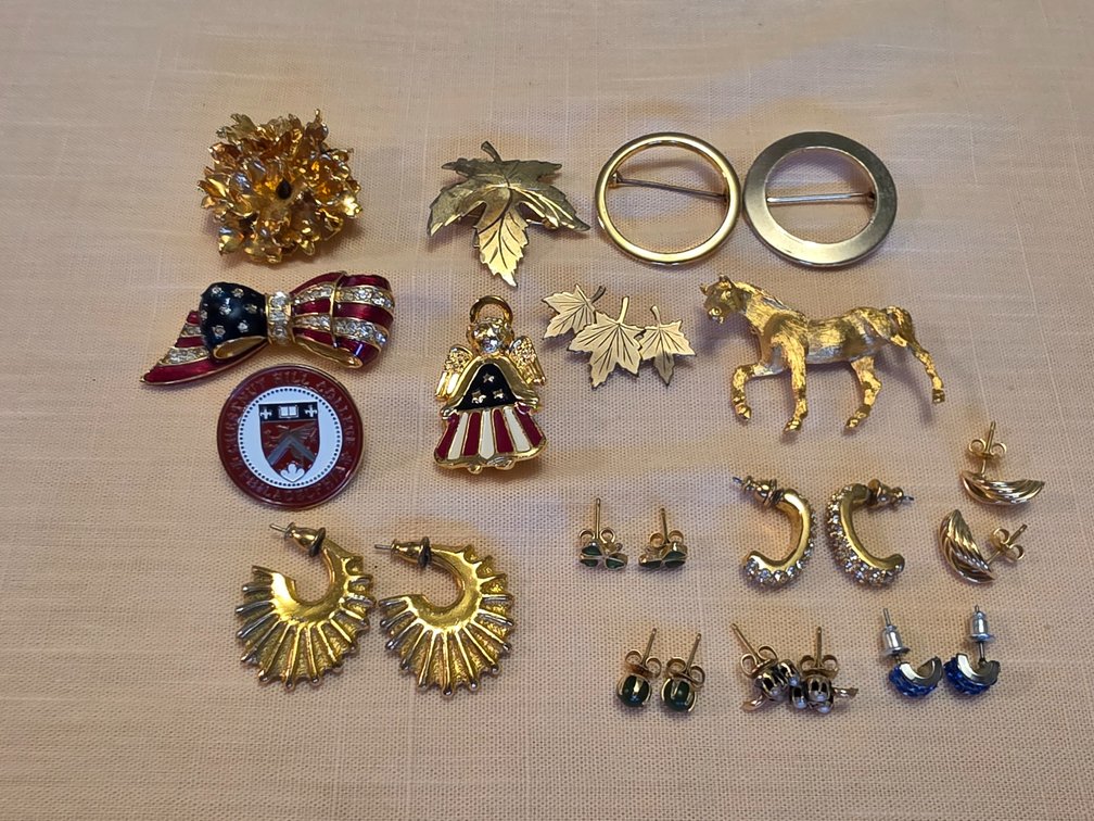 Pins /Earrings