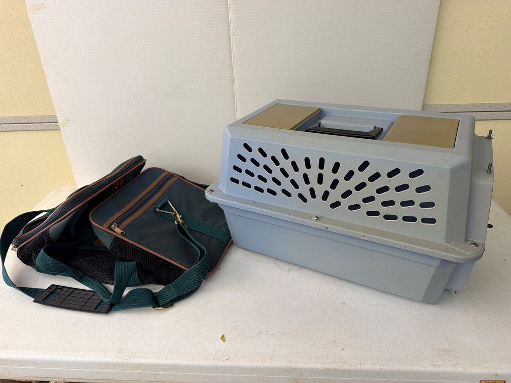Hard Plastic Pet Carrier and Soft-Sided Pet Travel Bag