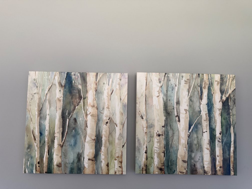 Carol Robinson Birch Tree Stretched Canvas Prints