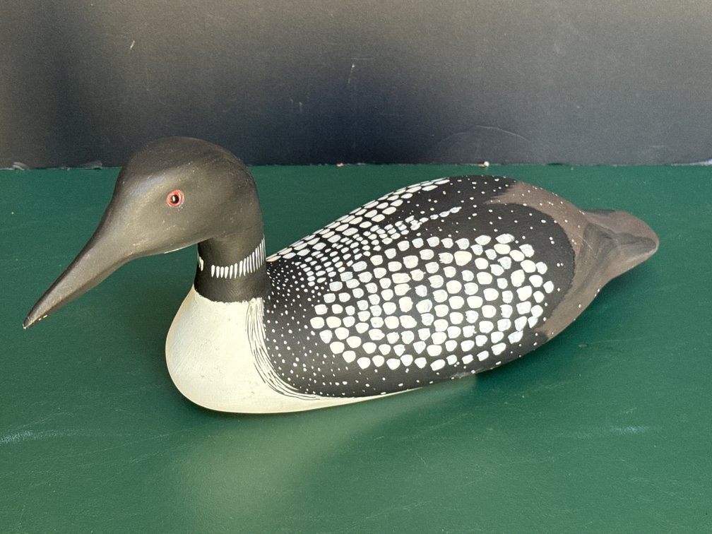 Carved Common Loon Decoy