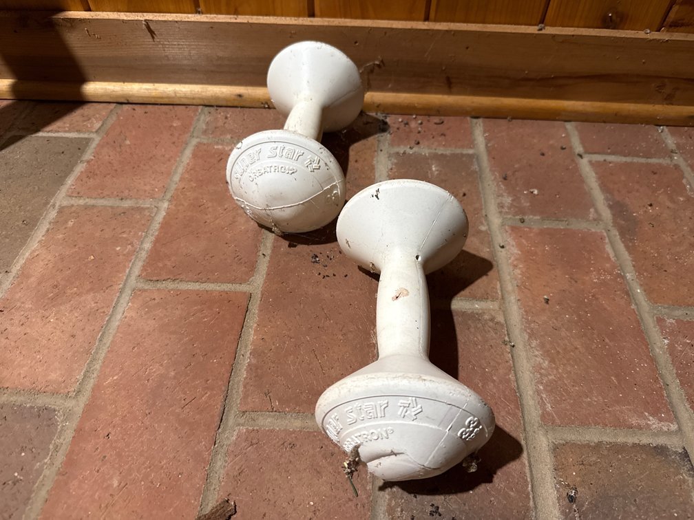 Super Star Orbitron 3 LB Dumbbells