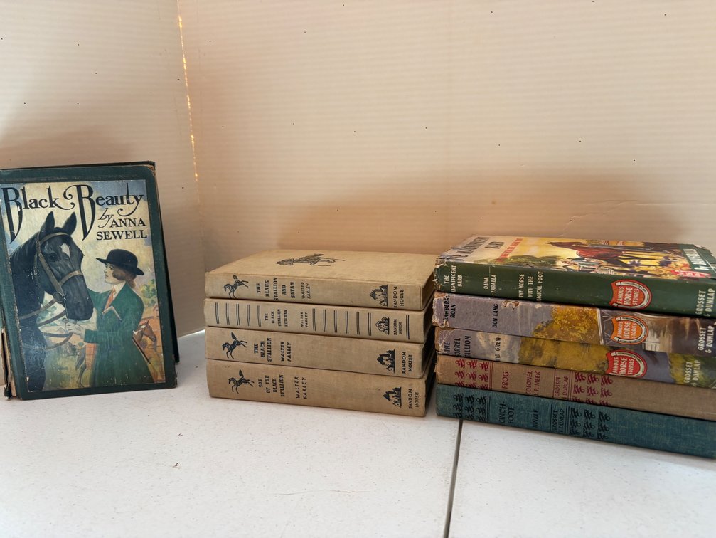 Black Beauty, The Black Stallion, and Grosset & Dunlap Hardcover Books