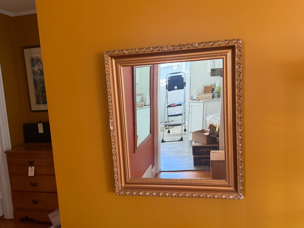 Rectangular Wall Mirror in Ornate Gold-Tone Frame