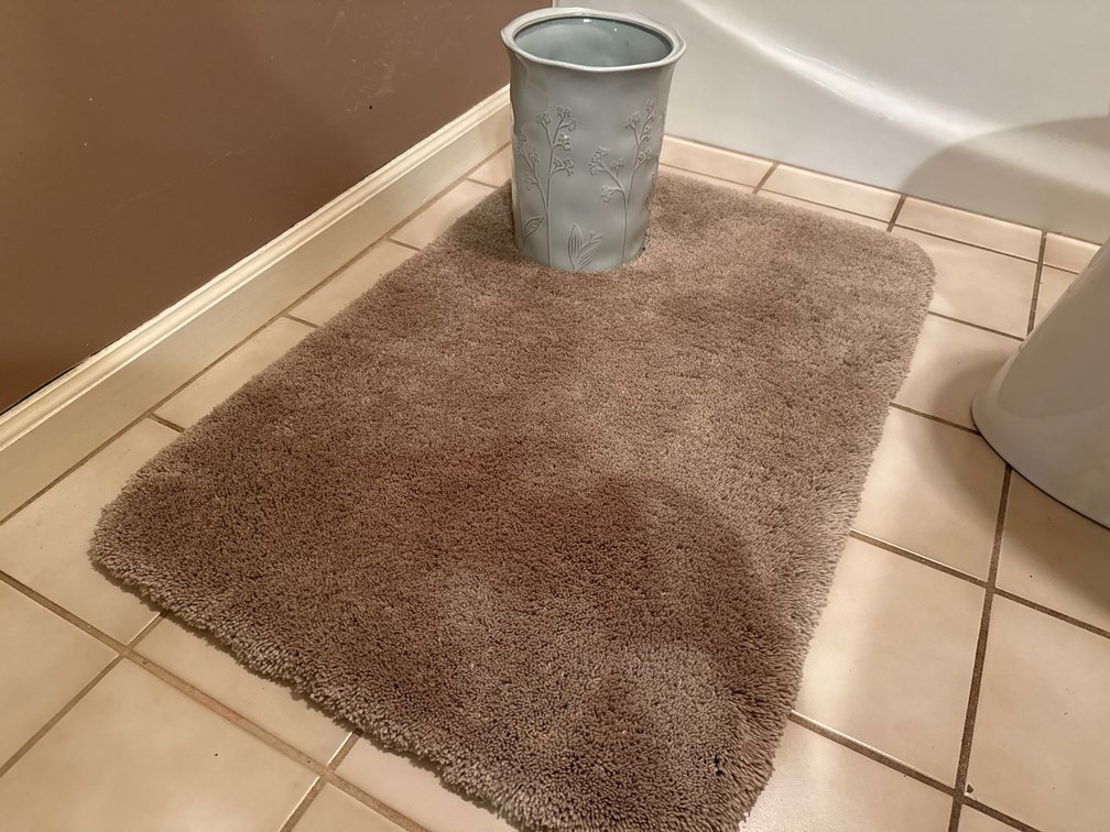 Taupe Plush Bath Rug and Botanical Ceramic Vessel