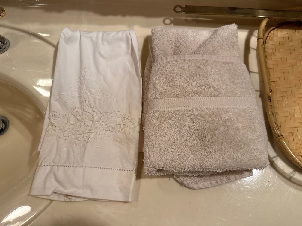 Embroidered Hand Towel and Terrycloth Towel