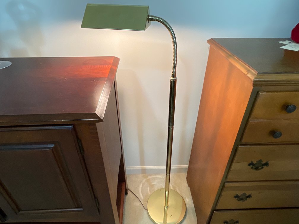 Atom Lamp Co. Inc. Gooseneck Pharmacy Floor Lamp