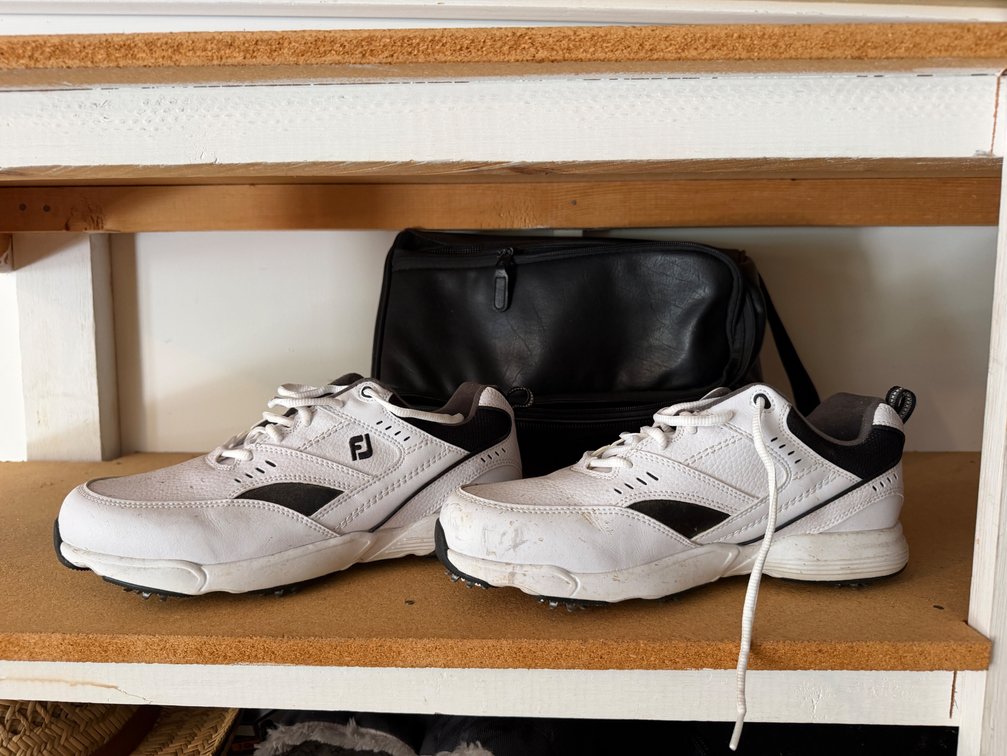 Golf Shoes and Shoe Bag