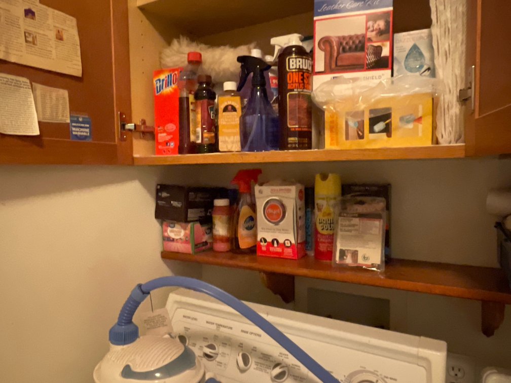 Garment Steamer, Household Cleaning Supplies, and More