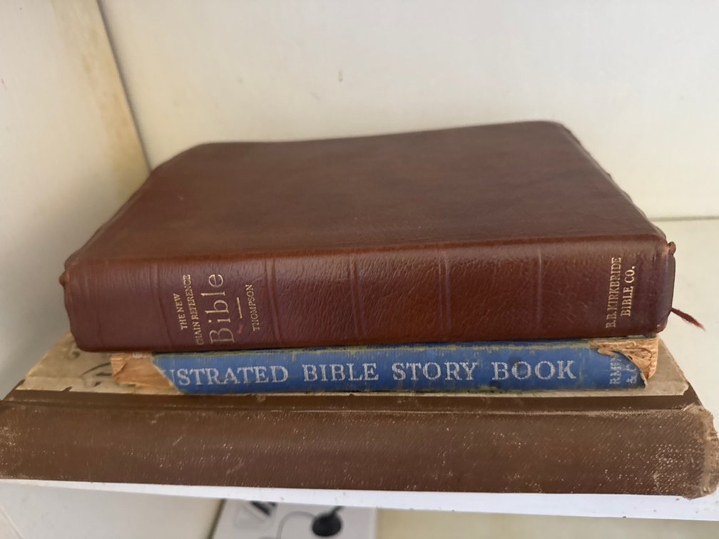 Doré Bible Gallery, Bible Story Book, and Reference Bible