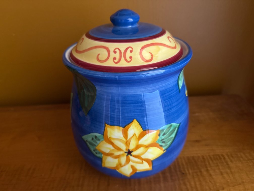 Saparna Hand-Painted Ceramic Canister with Lid