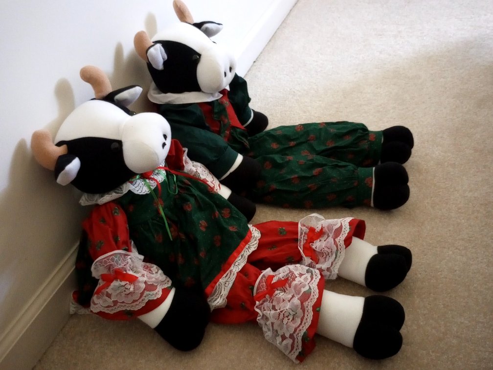Holiday Cows