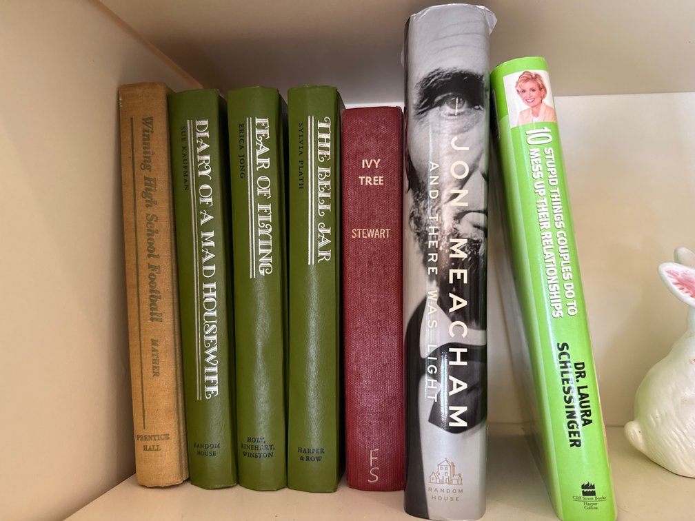 Hardcover Books Including The Bell Jar and Fear of Flying