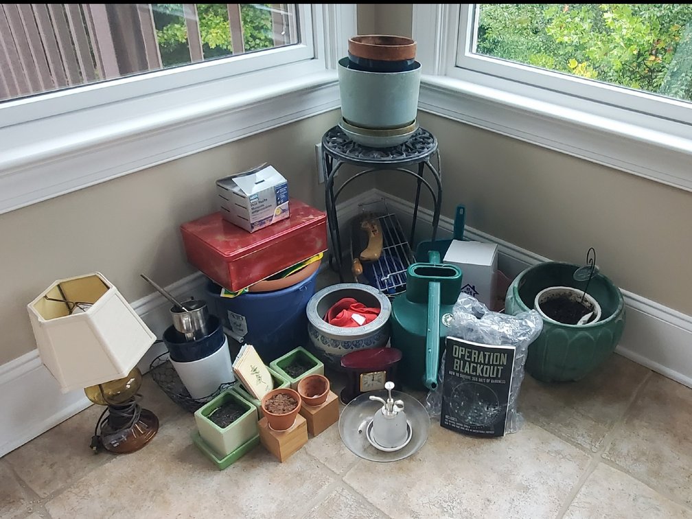 Planters, Metal Plant Stand, Watering Can, and Table Lamp