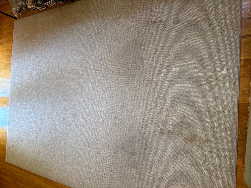 Heathered Beige Woven Loop-Pile Area Rug