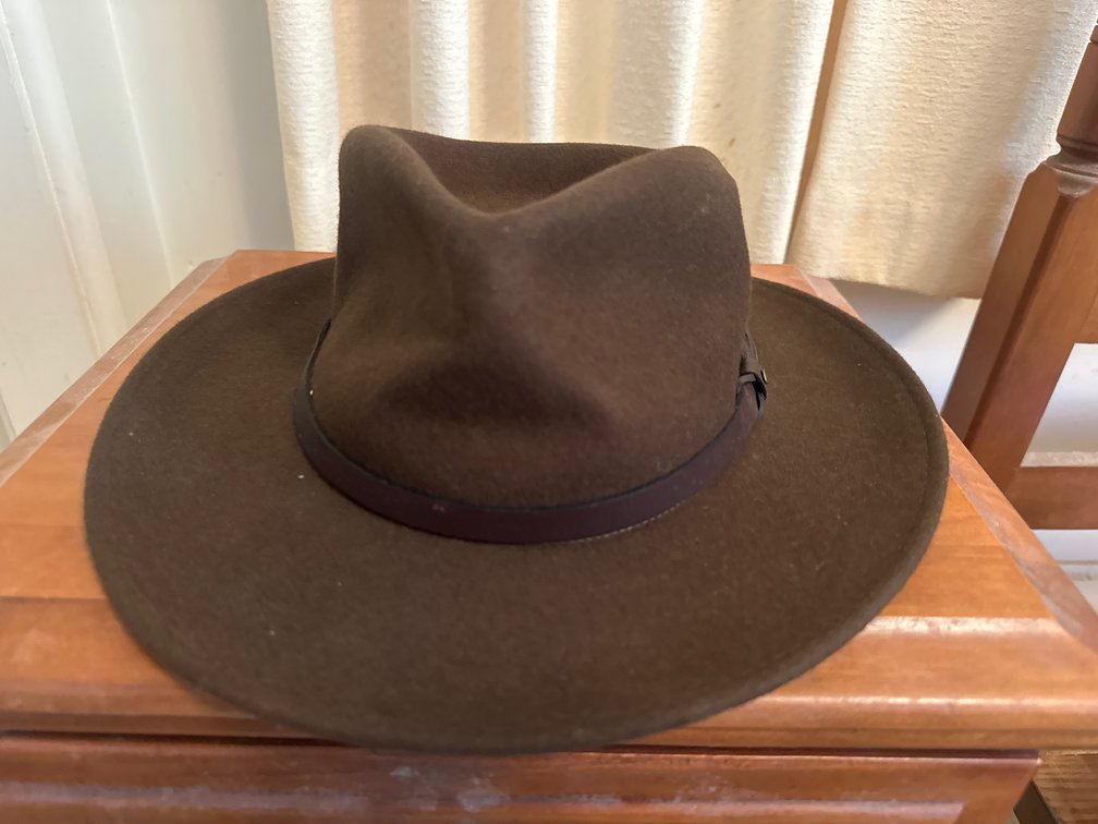 Brown Wool Felt Wide-Brim Fedora Hat, Size Large