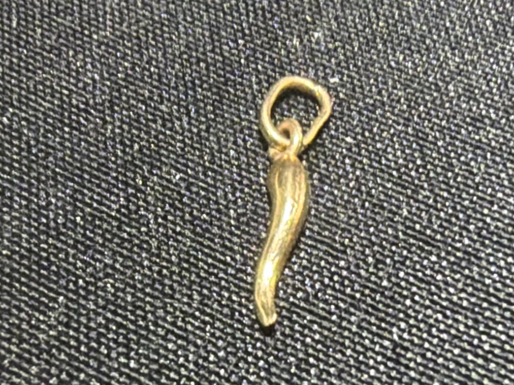 585 14kt Yellow Gold Italian Horn Charm Pendant
