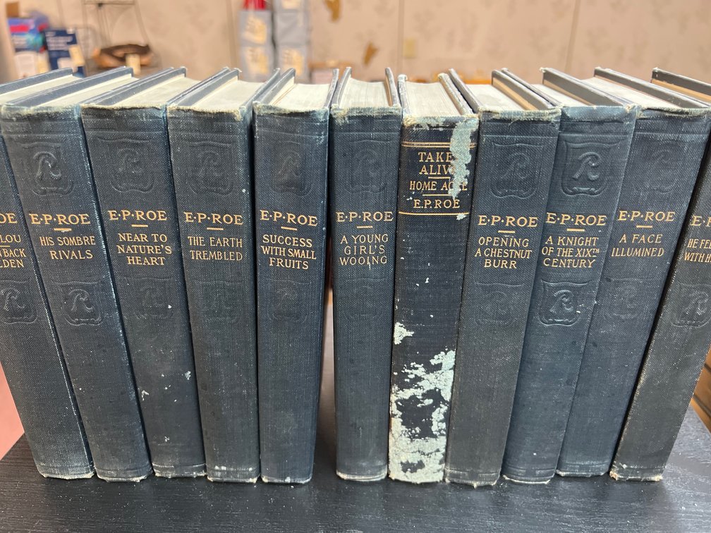 E.P. Roe Cloth Hardcover Books,