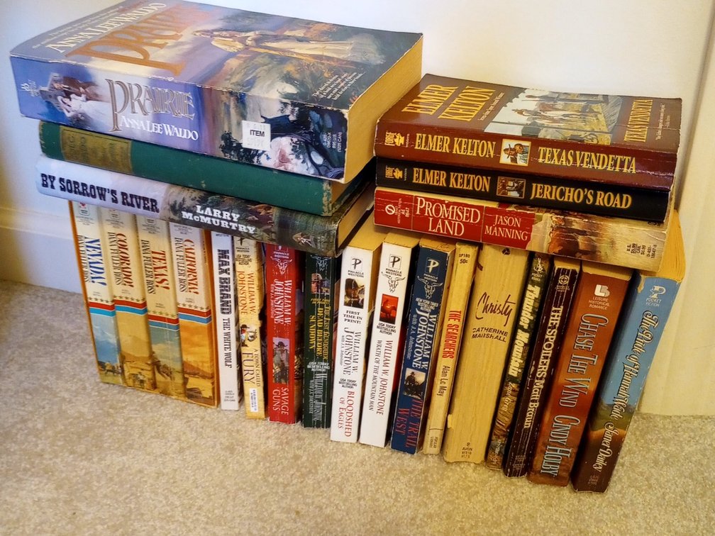 Western Novels