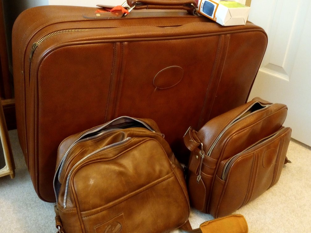 Sears Luggage