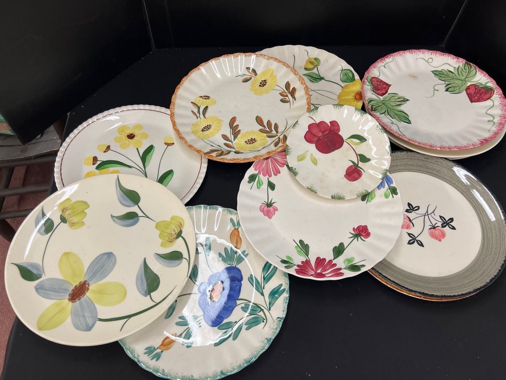 Hand-Painted Floral and Botanical Ceramic Plates