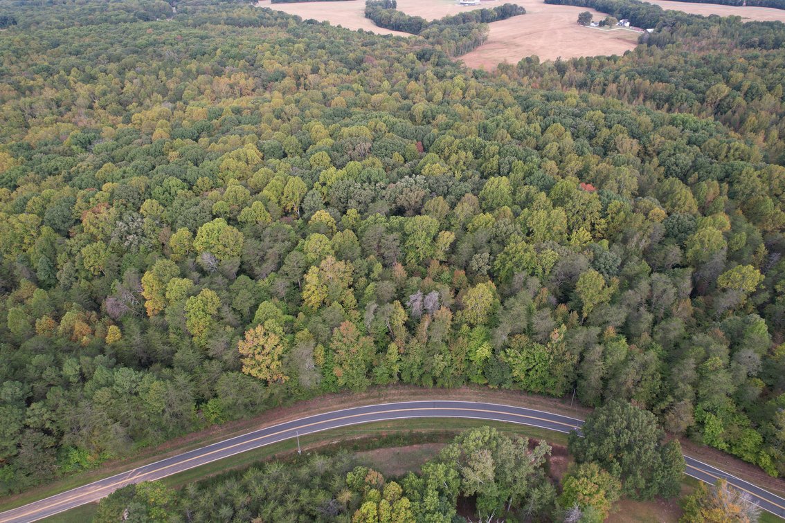 76 +/- Acres of Opportunity | Mocksville, NC