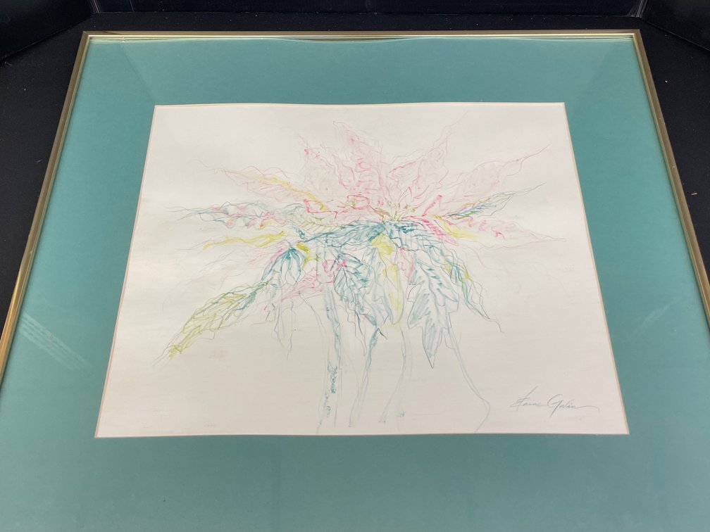 Elaine Galen Framed Botanical Poinsettia Drawing