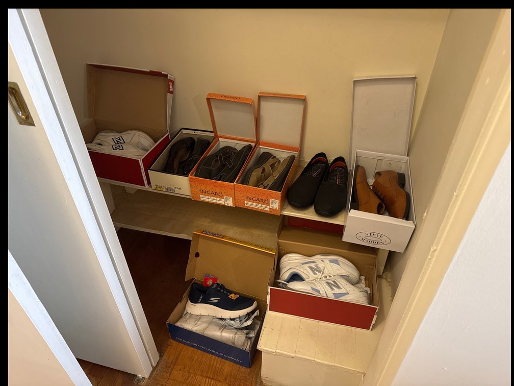 Sneakers, Slip-On Shoes, Dress Shoes, and Slippers